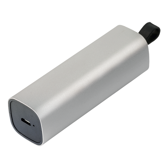Bluetooth Earphones With Power Bank Case - Silver