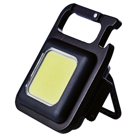Rechargeable Light