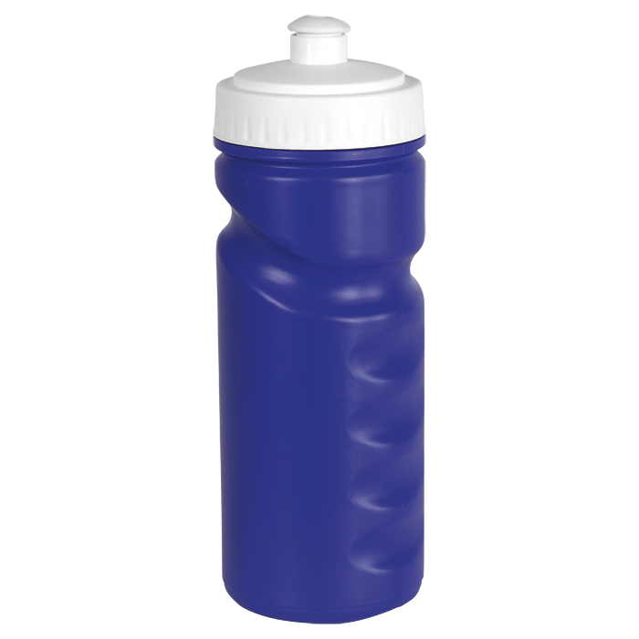500ml Visiline Water Bottle - Royal