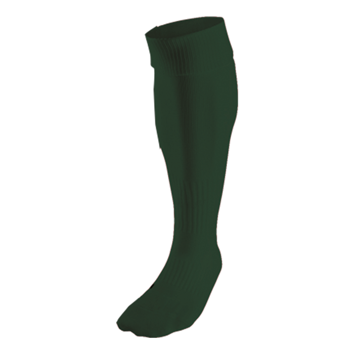 BRT Team Sock - Bottle