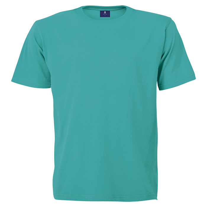 145g Barron Crew Neck T-Shirt - Aquamarine